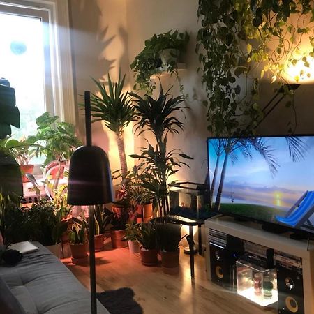 Urban Jungle Oasis In Queens! Διαμέρισμα Νέα Υόρκη Εξωτερικό φωτογραφία