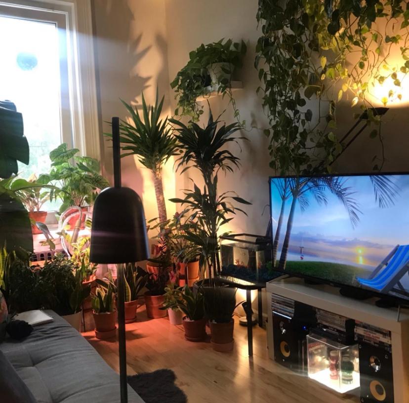 Urban Jungle Oasis In Queens! Διαμέρισμα Νέα Υόρκη Εξωτερικό φωτογραφία