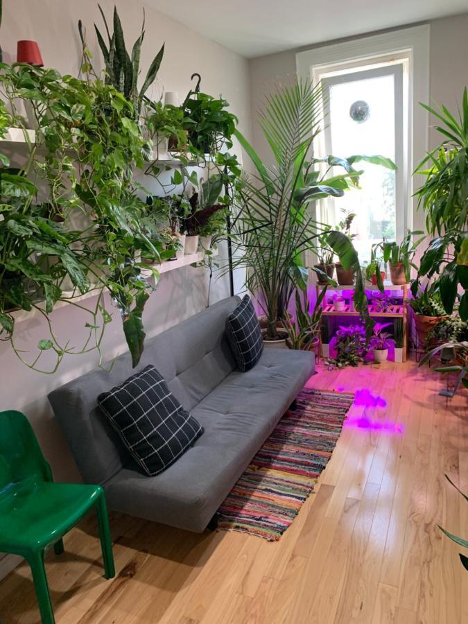 Urban Jungle Oasis In Queens! Διαμέρισμα Νέα Υόρκη Εξωτερικό φωτογραφία