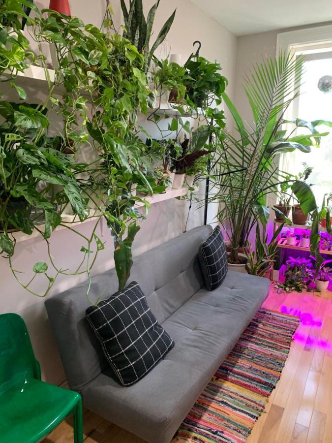 Urban Jungle Oasis In Queens! Διαμέρισμα Νέα Υόρκη Εξωτερικό φωτογραφία