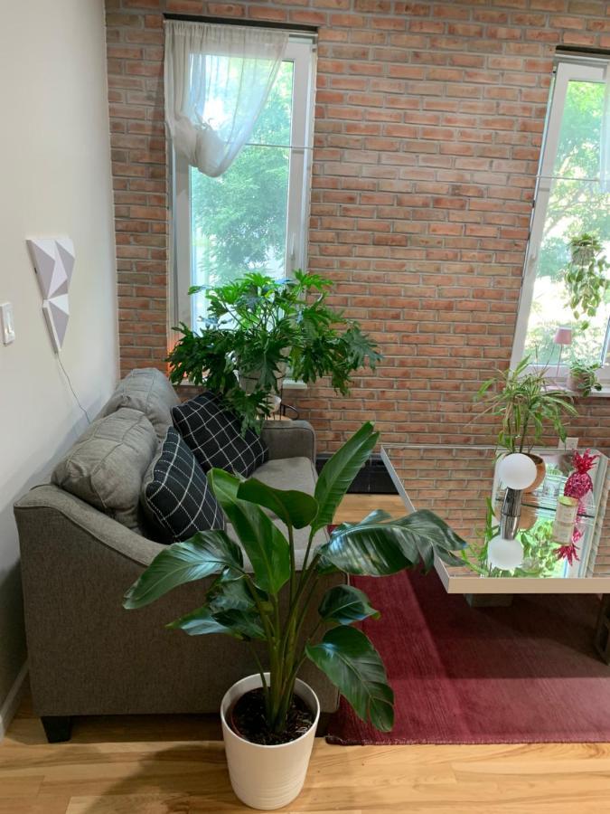 Urban Jungle Oasis In Queens! Διαμέρισμα Νέα Υόρκη Εξωτερικό φωτογραφία