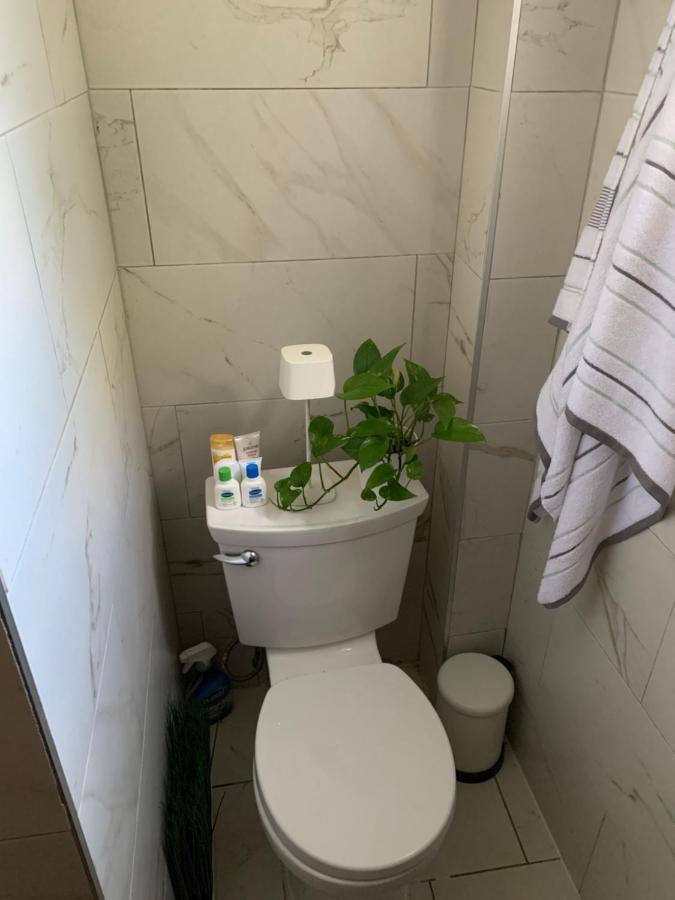 Urban Jungle Oasis In Queens! Διαμέρισμα Νέα Υόρκη Εξωτερικό φωτογραφία