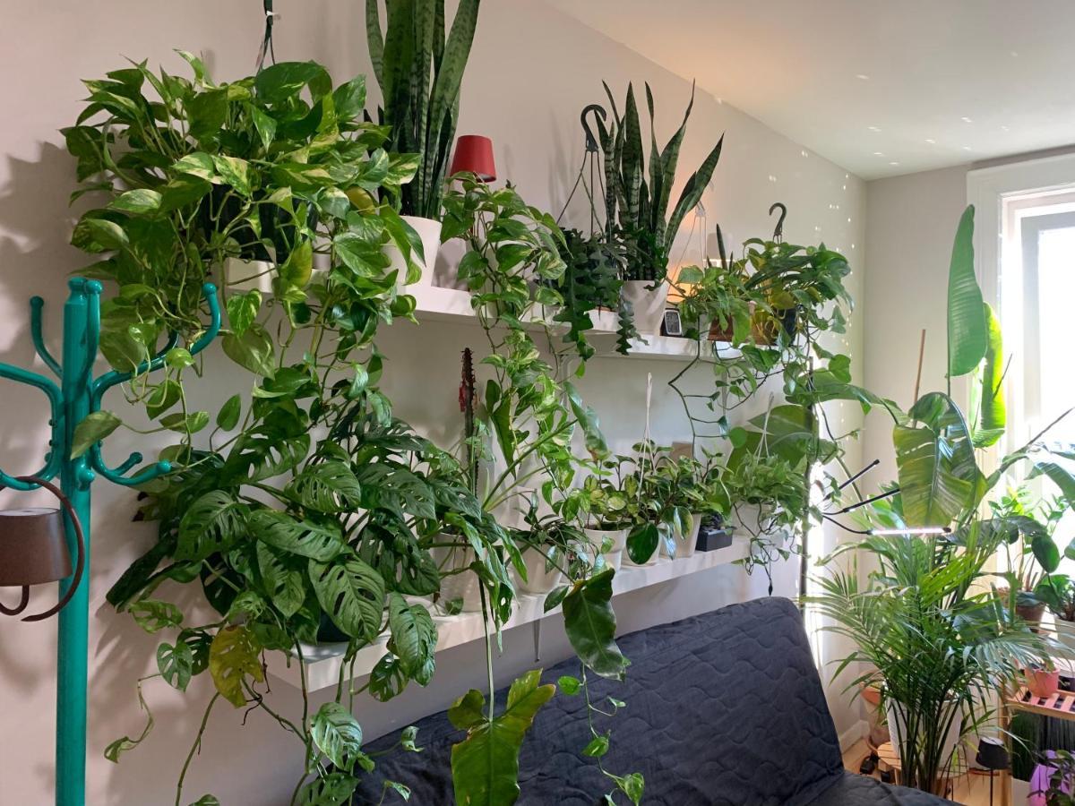 Urban Jungle Oasis In Queens! Διαμέρισμα Νέα Υόρκη Εξωτερικό φωτογραφία