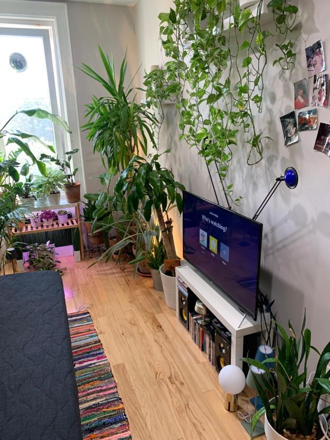 Urban Jungle Oasis In Queens! Διαμέρισμα Νέα Υόρκη Εξωτερικό φωτογραφία